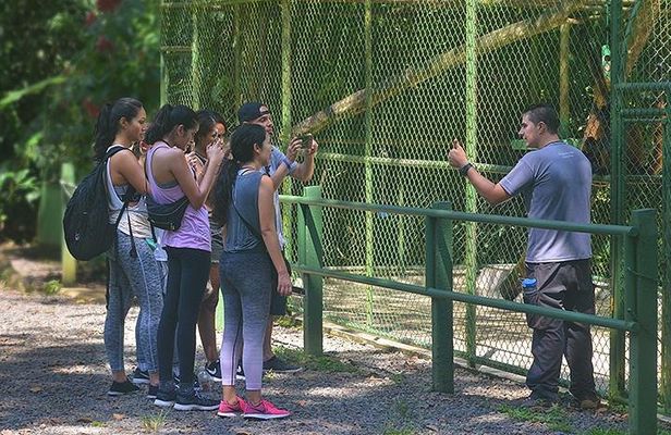 Wildlife Rescue Center Tour in Costa Rica