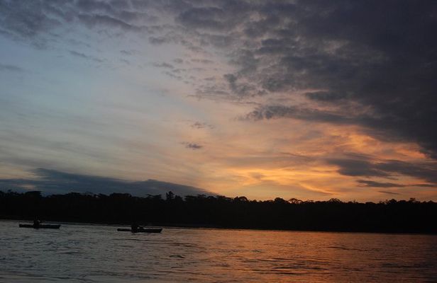 3-Day Amazon Jungle Tour at Refugio Amazonas in Puerto Maldonado