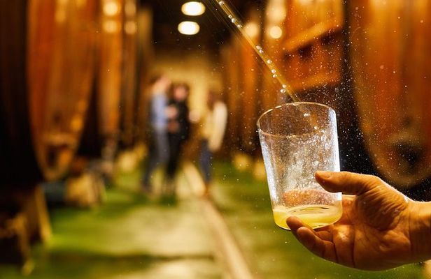 "Basque Cider House" guided tour + meal from San Sebastian