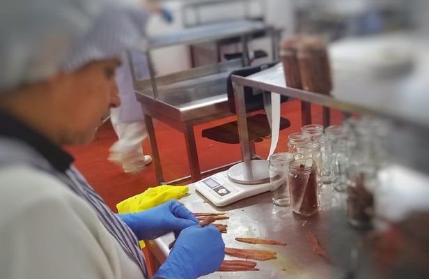 Santoña: Anchovy Factory & Boat Trip with tickets-small groups
