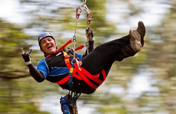 12 Apostles and Otway Fly Zipline Day Trip from Melbourne
