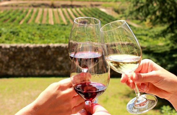 Stellenbosch, Franschhoek and Paarl: Full Day Wine Tour