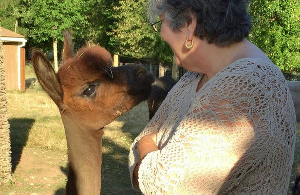 Alpaca Ranch and Fiber Processing Mill Tour