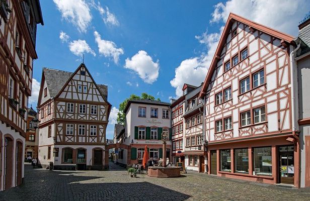 Mainz Private Walking Tour With A Professional Guide
