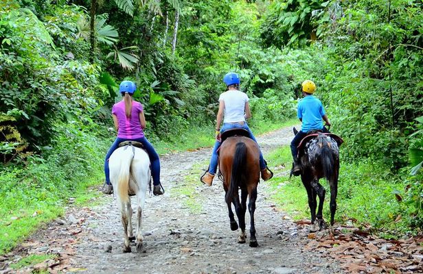 Horseback Ride to La Fortuna Waterfall