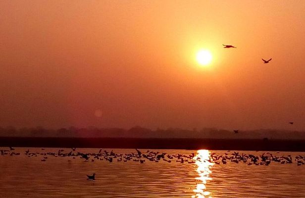 Morning Boat Tour followed by a short heritage walking tour in VARANASI