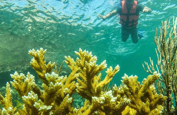 Local Fishing Plus Snorkeling Tour in Isla Mujeres