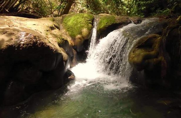 Mayfield Falls nature walk