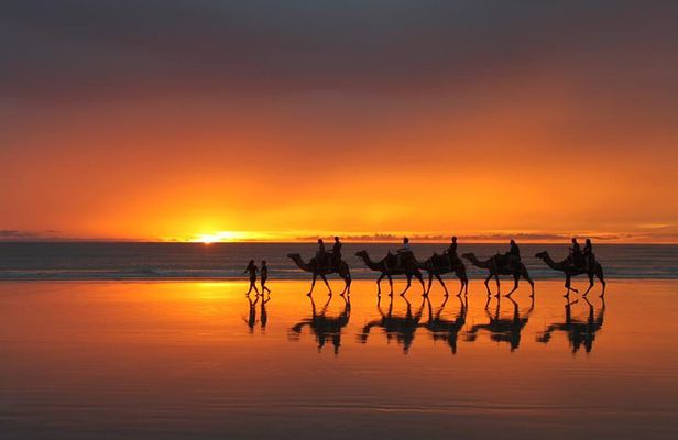 From Taghazoute : 2 Hours Agadir Camel Ride With Transfers and Tea Break