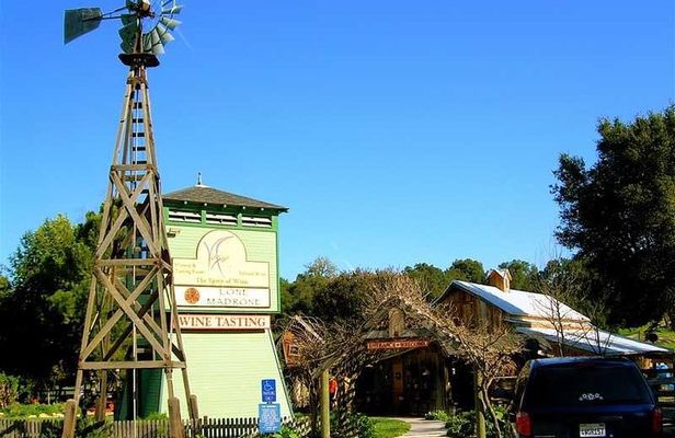 Semi-Private, Modified Hop-On Hop-Off Wine Tasting Tour from Cambria &San Simeon