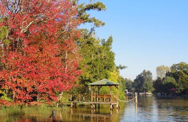 Tigre Delta Sightseeing Cruise from Buenos Aires