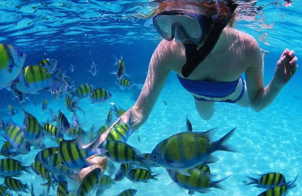 From Dubai: Snorkeling trip in Fujairah
