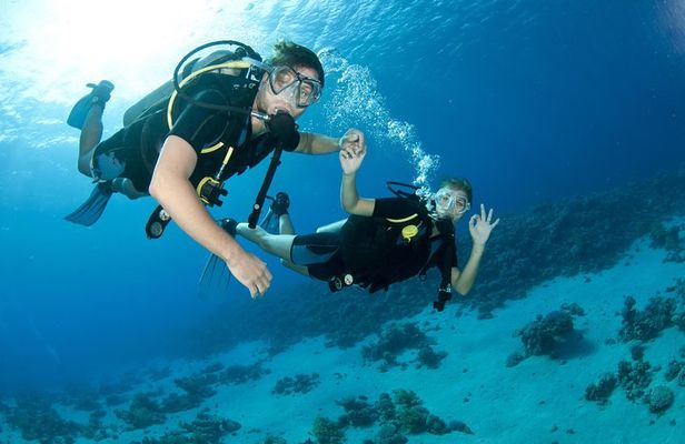 From Dubai: Discovery Scuba Diving & Snorkeling trip in Fujairah