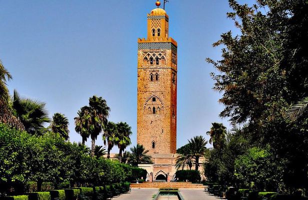 Casablanca to Marrakech Private Full-Day Trip with Camel Ride