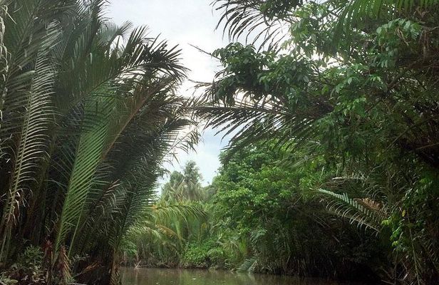 Mekong Delta in Ben Tre private tour full day