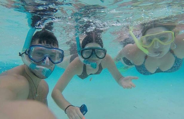 3 Point Snorkeling Safari