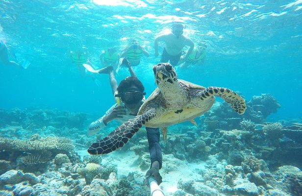 4-Night Maldives Guided Local Experience from Male' Airport