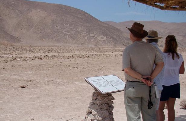 Pintados Geoglyphs, Humberstone and Salar Crespo tour
