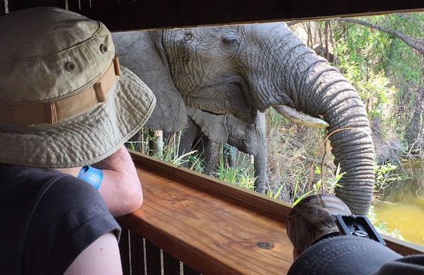 3-Day Tour of Kruger National Park from Skukuza Airport