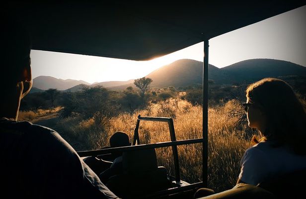Scenic Game Drive Activity