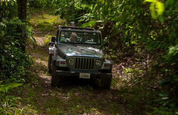 Jungle Jeep Adventure from Belize City