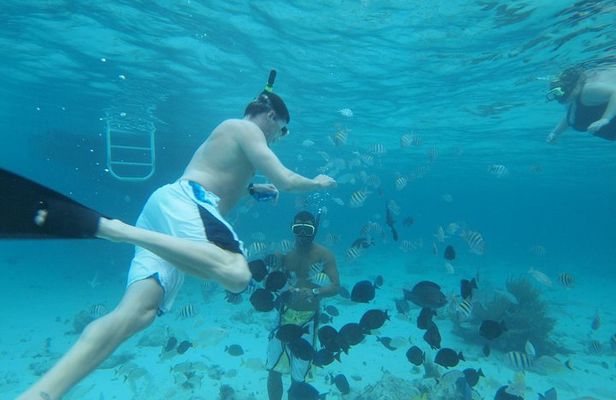 Stingray City Experience Plus Two Snorkeling Stops on Grand Cayman
