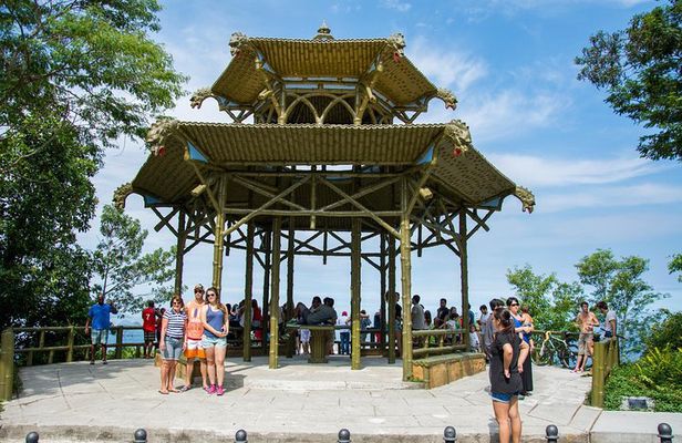 Private Tour: Tijuca National Park with a Photographer