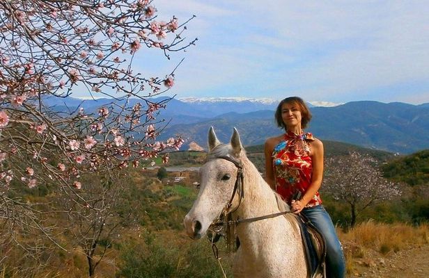 Alanya 3 Hour Horse Back Riding