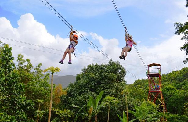 El Yunque Rainforest and Zipline Canopy Combo Tour