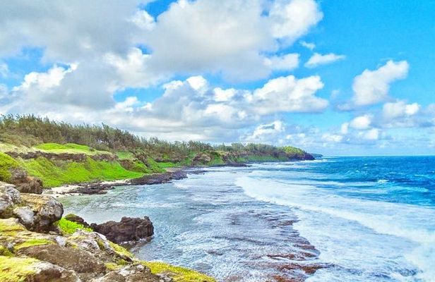 South Mauritius Private Day Tour: Tea Factory, Nature Park and Wild South Coast
