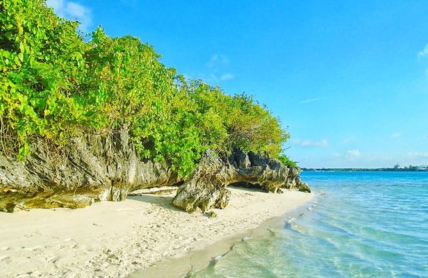 Ile aux Aigrettes Nature Reserve, Blue Bay Beach, La Vanille Park & Gris Gris