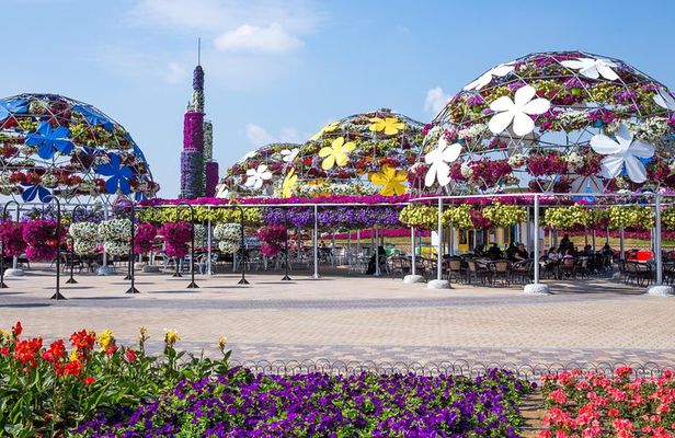 Miracle Garden In Dubai tickets with pickup drop option