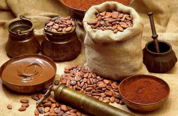 Quintana Roo 5 hours Chocolate Maya Ceremony and Temazcal Maya Ritual Tour