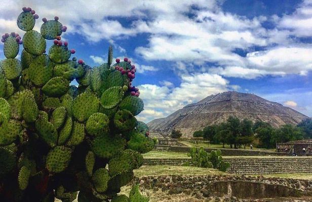 Teotihuacan and Tula Private Archeology Tour from Mexico City