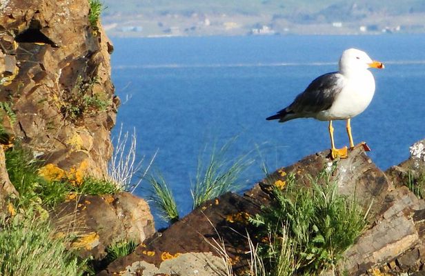 Day Tour to Sevan Lake, Tsakhkadzor Rope Way and Kecharis Monastery in Armenia