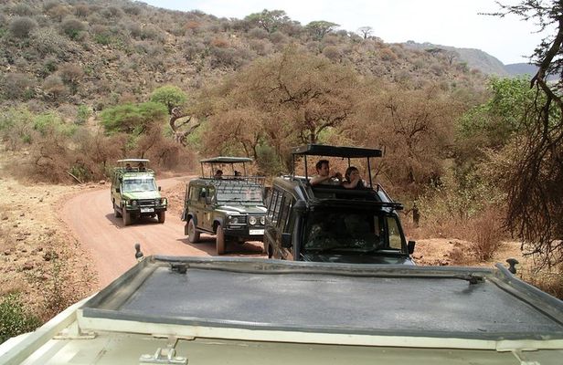 Manyara and Ngorongoro Crater