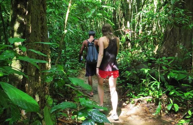 2-Day Khao Sok Jungle Safari from Krabi