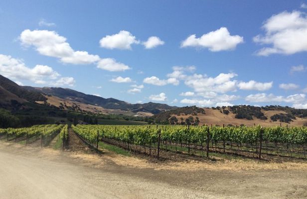 Santa Barbara Wine Lovers Tour