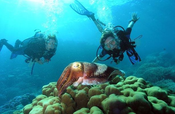 Diving At Galleon and Chimney From Marmaris