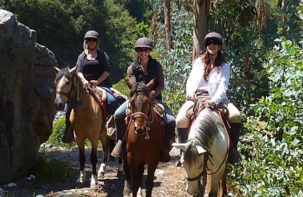 Horseback Riding Plus Tour to Sacsayhuaman, Quenqo, Puka Pucara and Tambomachay