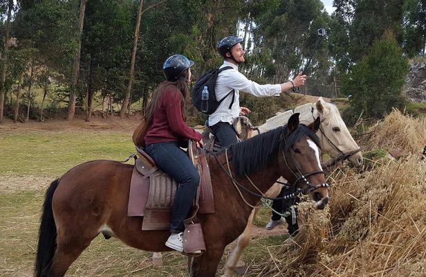Ride Peruvian Paso Horses in Cusco