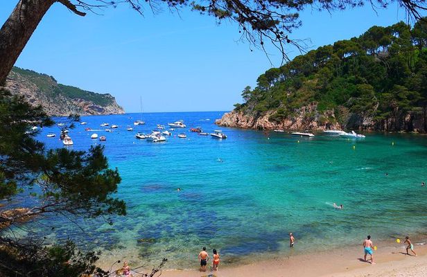 Girona & Costa Brava Small-Group Tour with Pickup from Barcelona