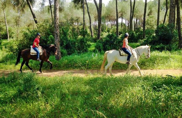 Horse Riding Excursion from Seville