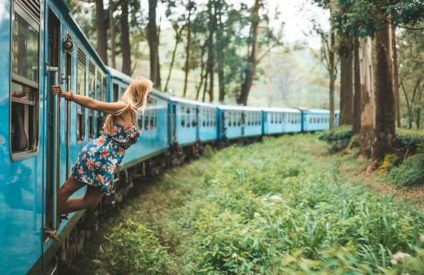 Day Excursions to Horton Plains & Local Train Experience from Ella