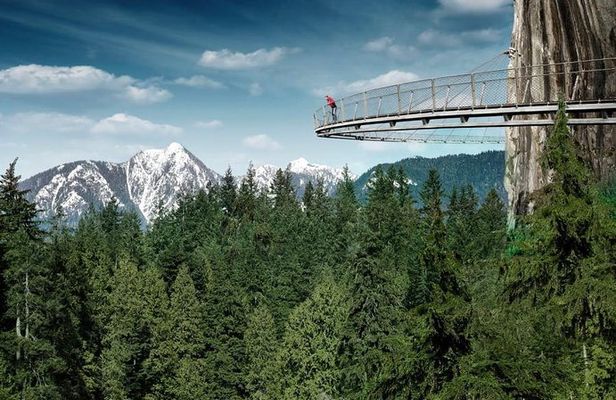 Small Group Tour: Vancouver Sightseeing and Capilano Suspension Bridge