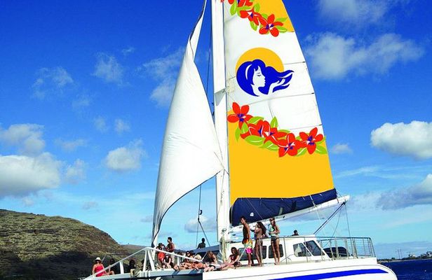 Waikiki Panorama Sail: Search for Hawaiian Sea Turtles