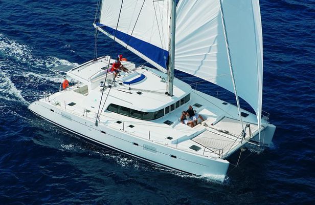 Luxury Hawaiian Sea Turtle, Dolphin Sail and Kona Snorkel