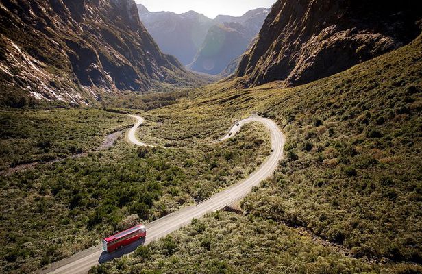 Milford Sound Coach & Cruise from Queenstown: Panoramic Views