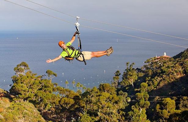 Catalina Island Zip Line Eco Tour