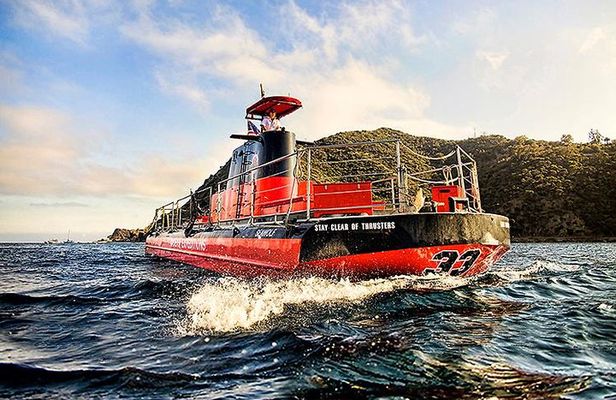 Undersea Expedition: Catalina Island Tour